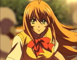 Ikkitousen: Shining Dragon, Ikkitousen Wiki