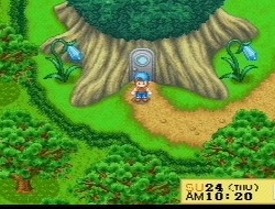 Harvest Moon DS screenshot