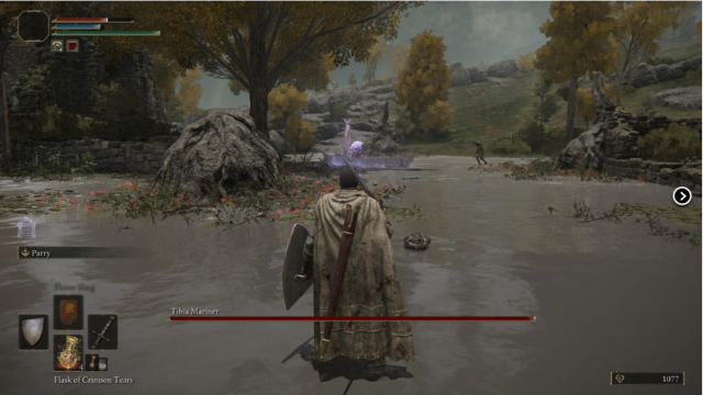 Elden Ring JoeTheDestroyer's image