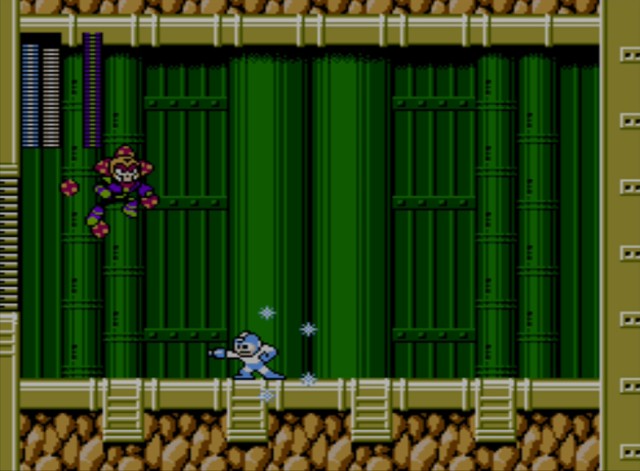 Mega Man 6 screenshot - Plant Man