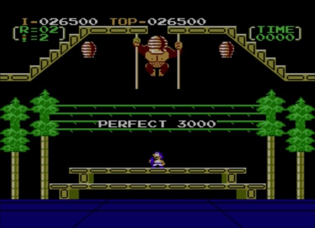 Donkey Kong 3 (NES) image