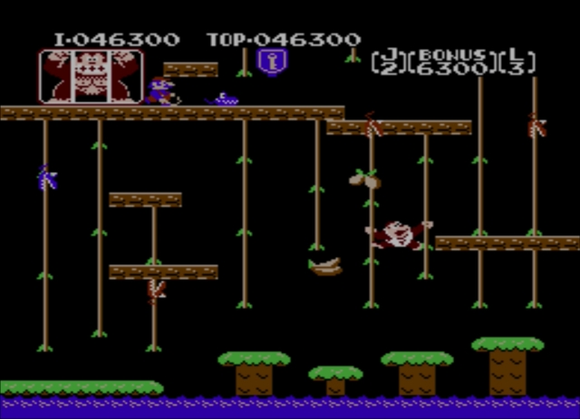 Donkey Kong Jr. screenshot