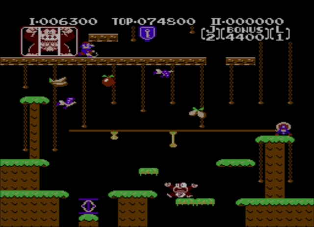 Donkey Kong Jr. (NES) image