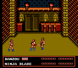 Double Dragon III: The Sacred Stones (NES) image