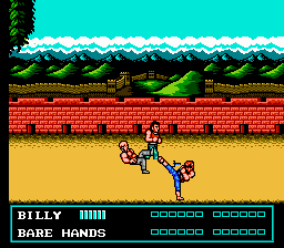 Double Dragon III: The Sacred Stones (NES) image