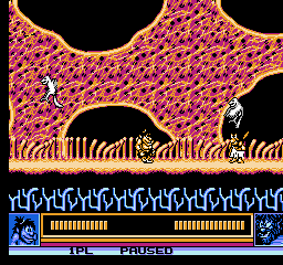 Joe & Mac (NES) image