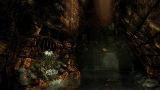 Amnesia: The Dark Descent (PC) image