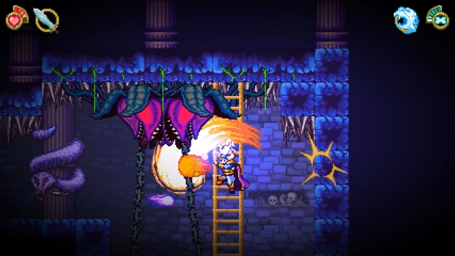 Battle Princess Madelyn (PC) image