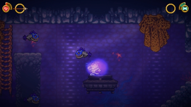 Battle Princess Madelyn (PC) image