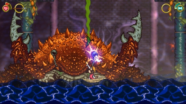 Battle Princess Madelyn (PC) image