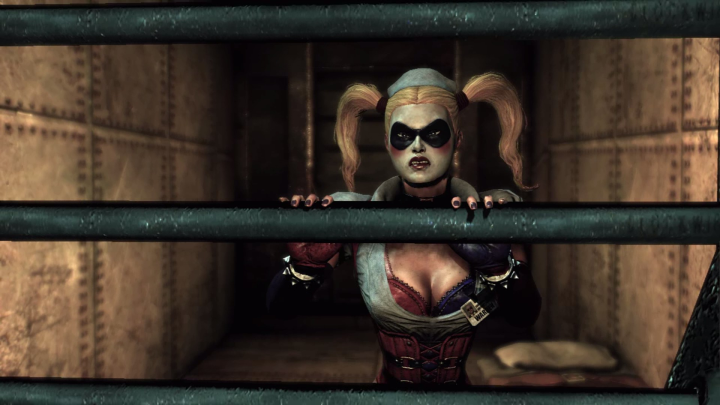 Batman: Arkham Asylum (PC) image