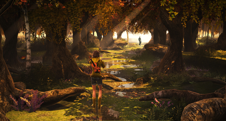 Distortions (PC) image