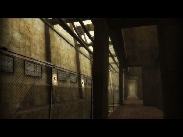 Fibrillation (PC) image