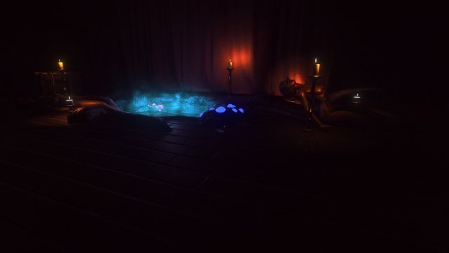 Lust for Darkness (PC) image