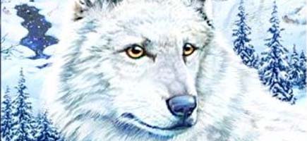 Nancy Drew: The White Wolf of Icicle Creek (PC) image