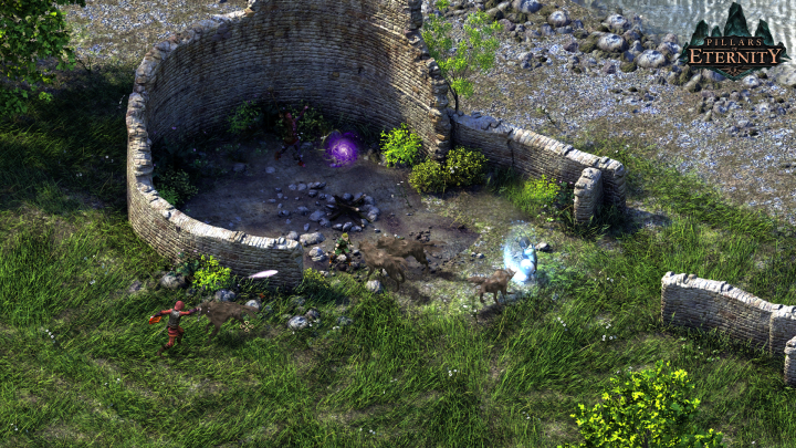 Pillars of Eternity (PC) image