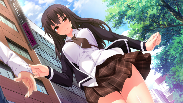 The Princess, the Stray Cat, and Matters of the Heart (PC) image