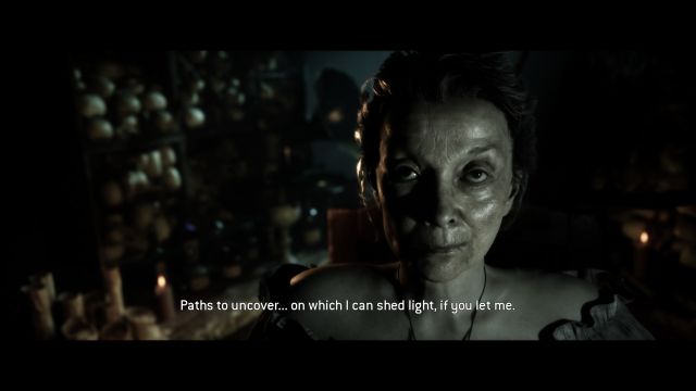 The Quarry (PC) image