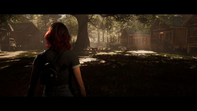 The Quarry (PC) image