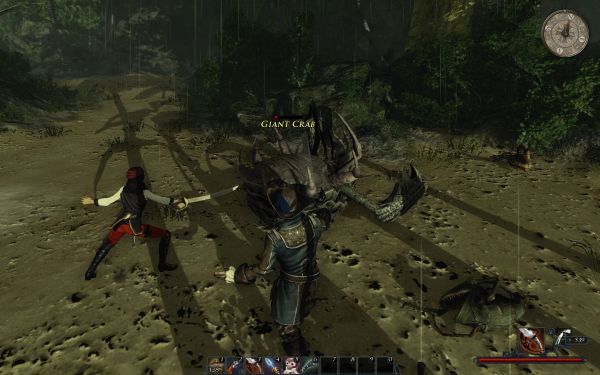 Risen 2: Dark Waters (PC) image