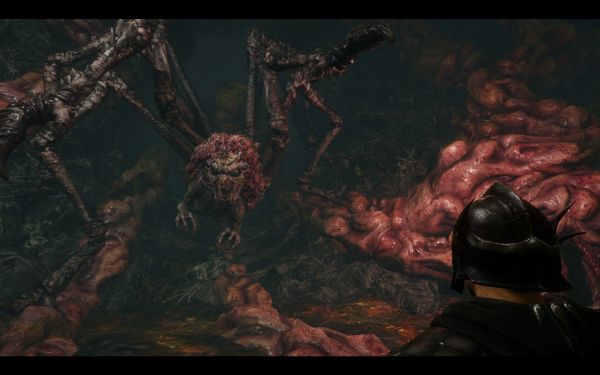 Risen 3: Titan Lords (PC) image