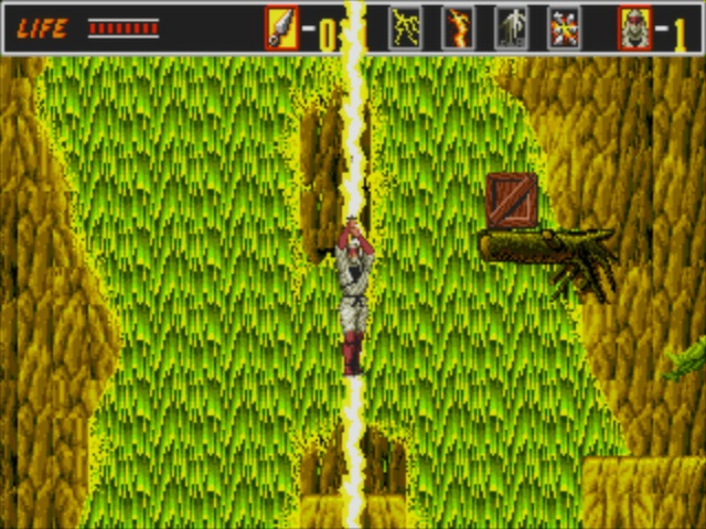 The Revenge of Shinobi (PC) image