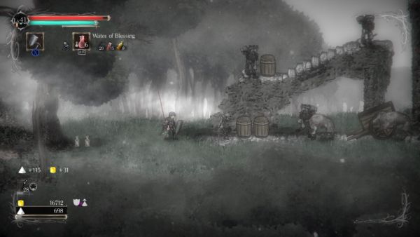Salt and Sanctuary (PC) image