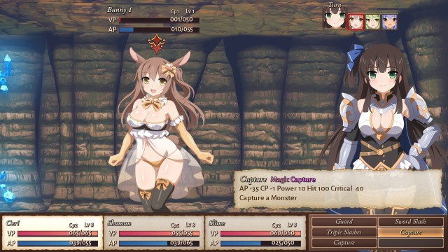 Sakura Dungeon (PC) image