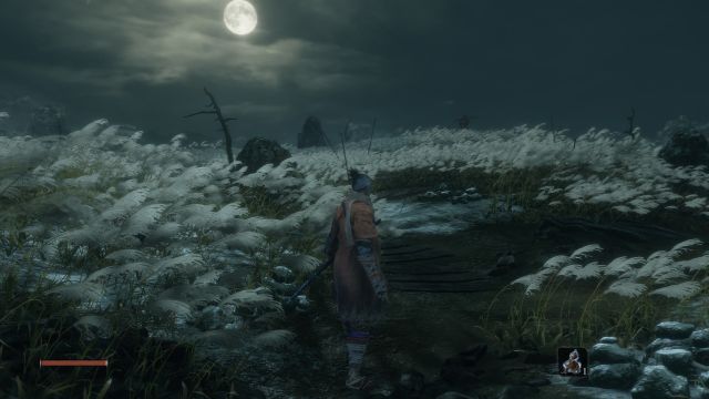 Sekiro: Shadows Die Twice (PC) image