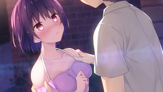 Seven Days (PC) image