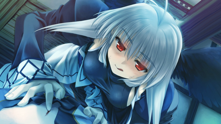 Utawarerumono: Prelude to the Fallen (PC) image