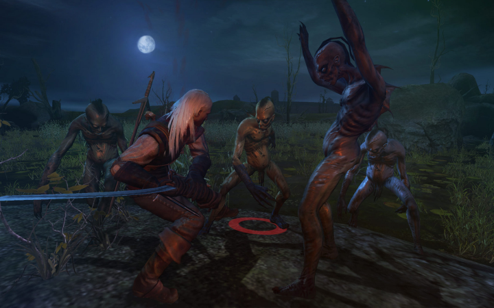 The Witcher (PC) image