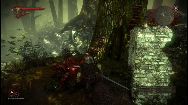 The Witcher 2: Assassins of Kings Review - Gamereactor