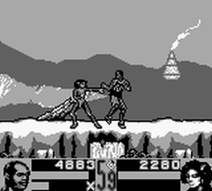 Shaq Fu (Game Boy) image