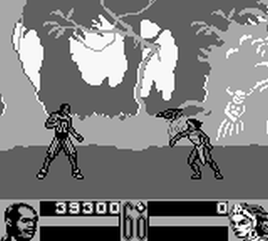 Shaq Fu (Game Boy) image