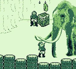 The Shapeshifter (Game Boy) image