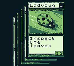 The Shapeshifter (Game Boy) image