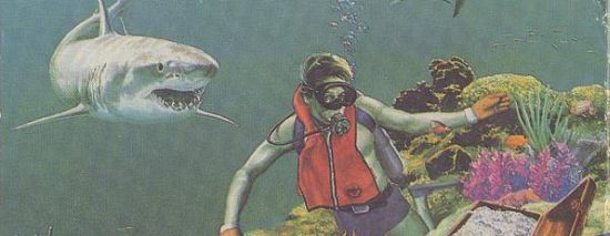 Shark Attack asset