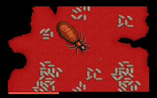 Antheads: It Came From the Desert II (Amiga) image