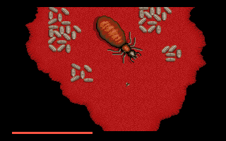 It Came From the Desert (Amiga) image