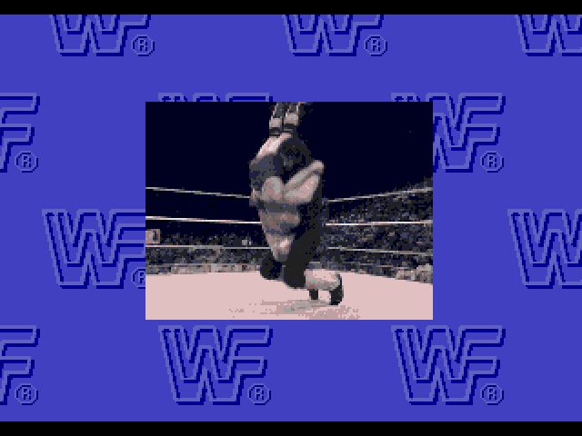 WWF Rage in the Cage (Sega CD) image