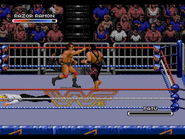 WWF Rage in the Cage (Sega CD) image