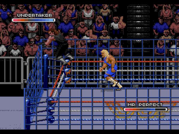 WWF Rage in the Cage (Sega CD) image
