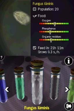 Afterzoom (DS) image