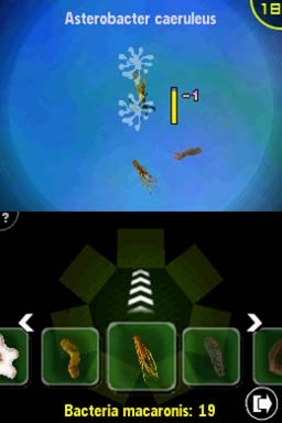 Afterzoom (DS) image
