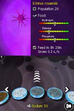 Afterzoom (DS) image