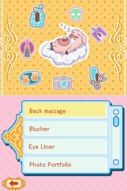 Beauty Academy (DS) image