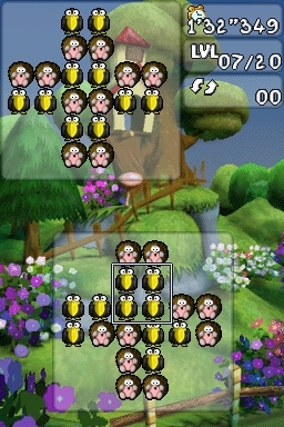 Brain Drain (DS) image