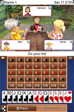 Bridge (DS) image