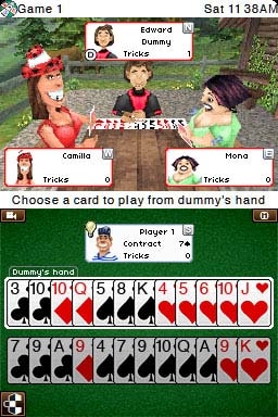 Bridge (DS) image